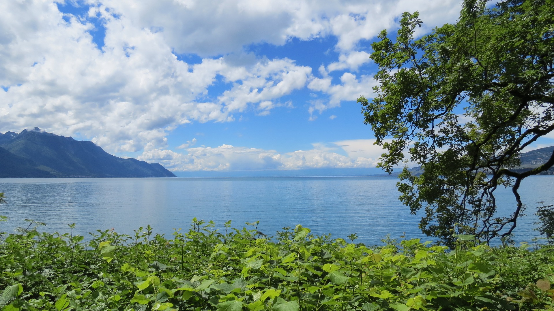 Switzerland Tourist: Visit Lake Geneva