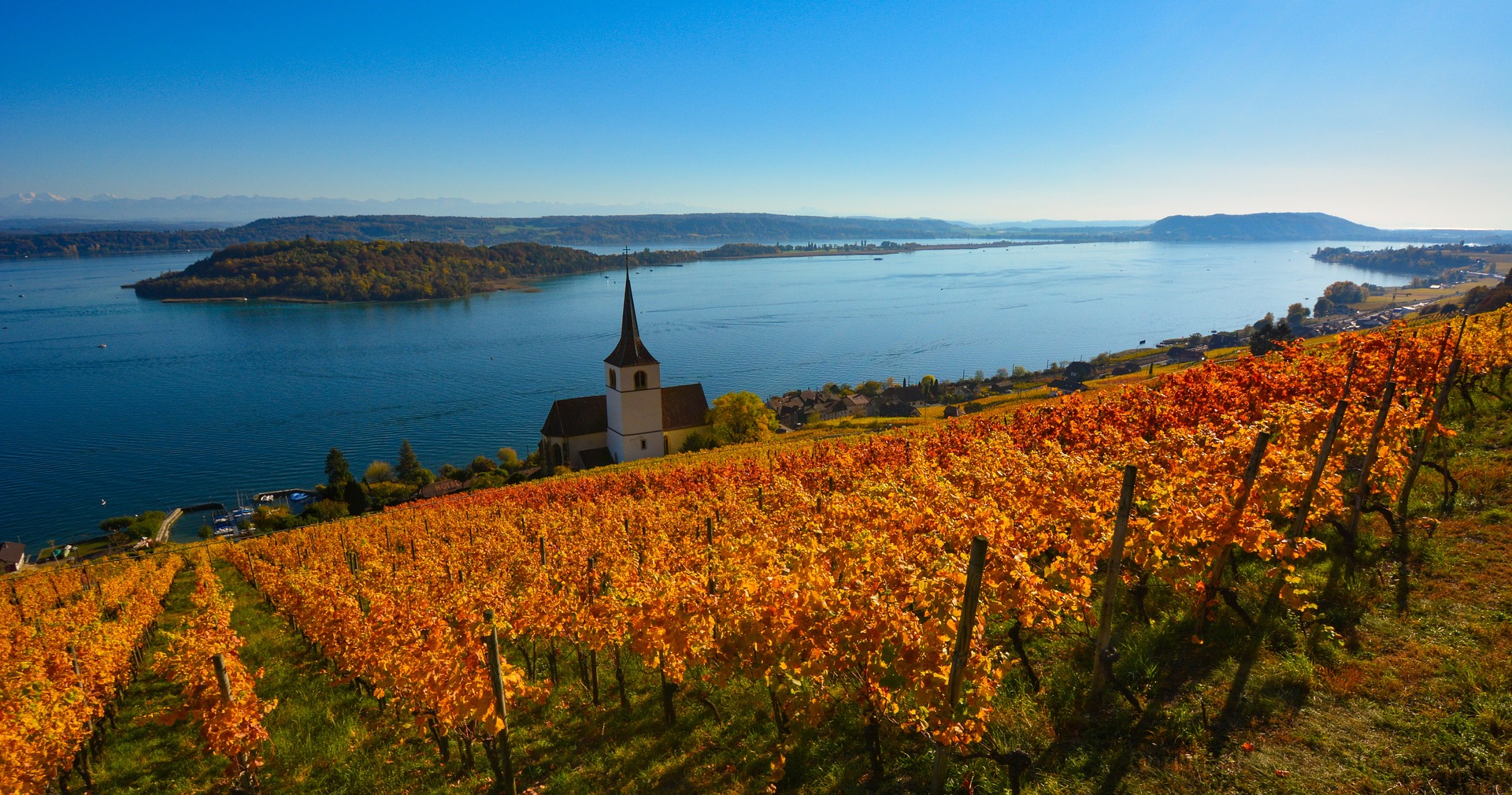 Exploring the vineyards Switzerland