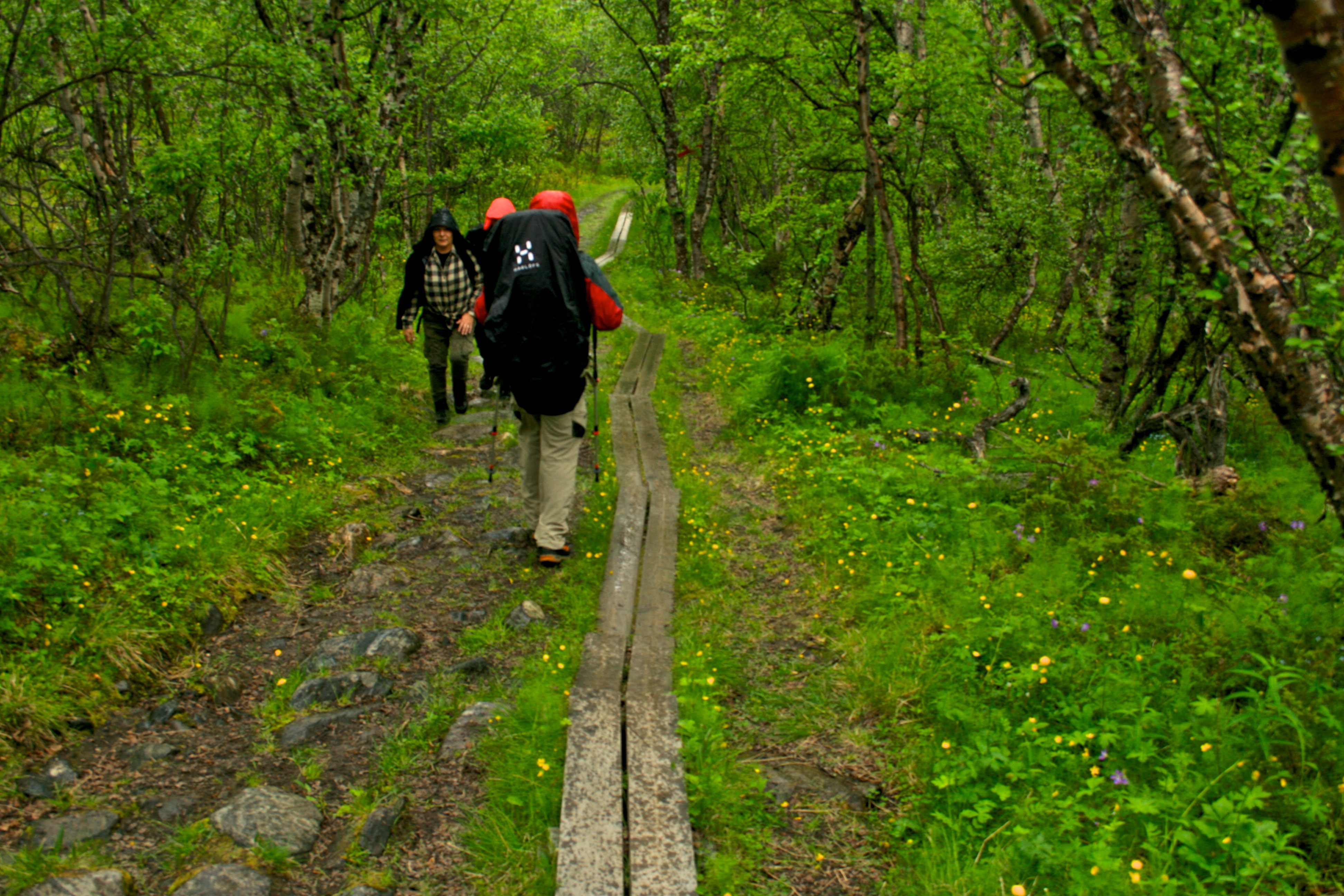 Abisko National Park: Sweden Vacation Tips