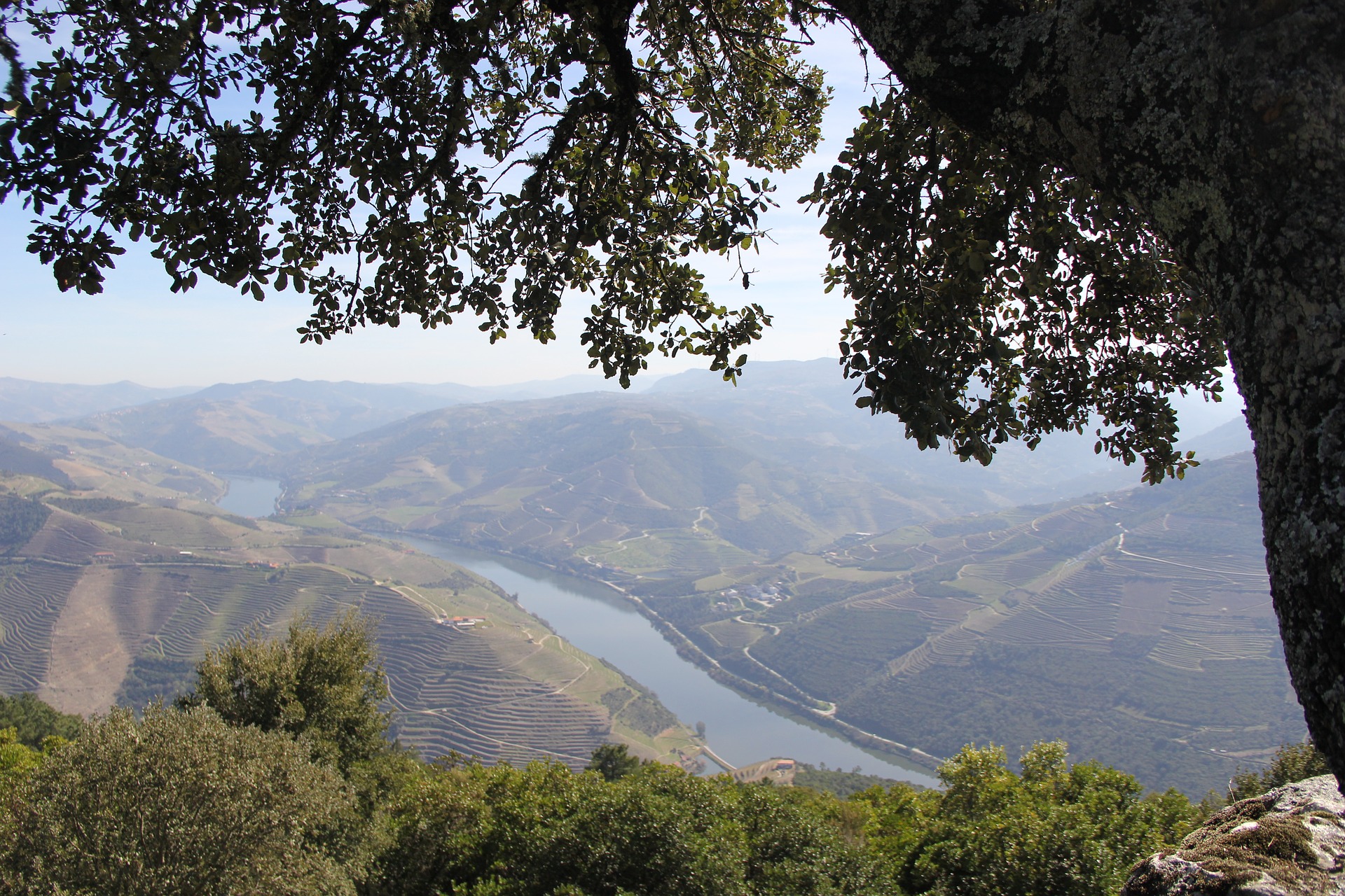 Portugal Travel Tips: Douro Valley