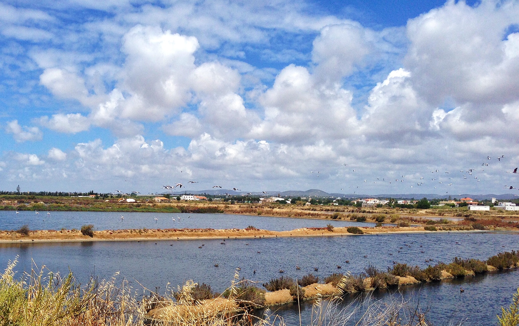 Rio Formosa National Park: Portugal Travel Tips